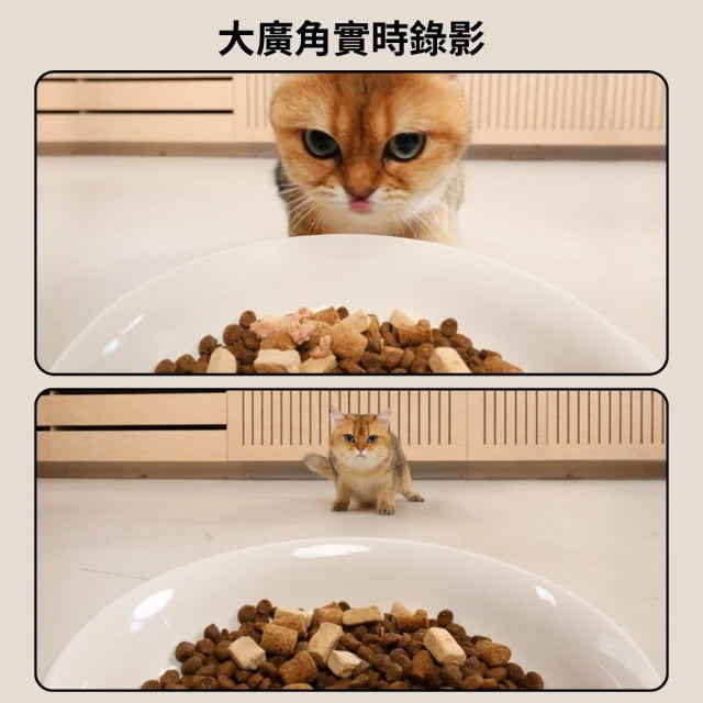 蛋捲餵食器4L 視訊版獨享碗