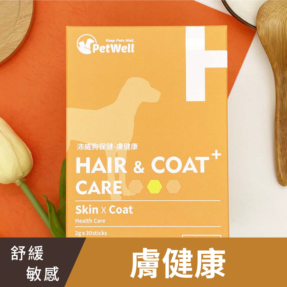 專業寵寶貝組-狗狗組(6入)