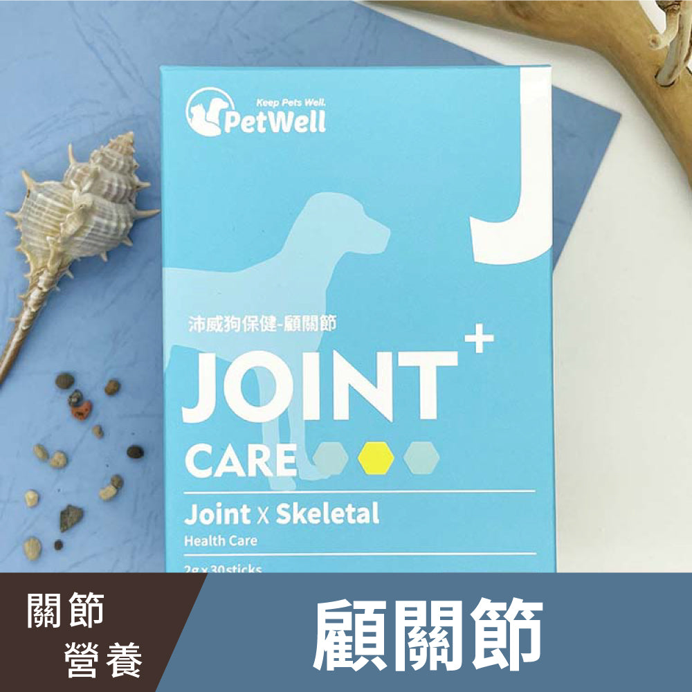 專業寵寶貝組-狗狗組(6入)